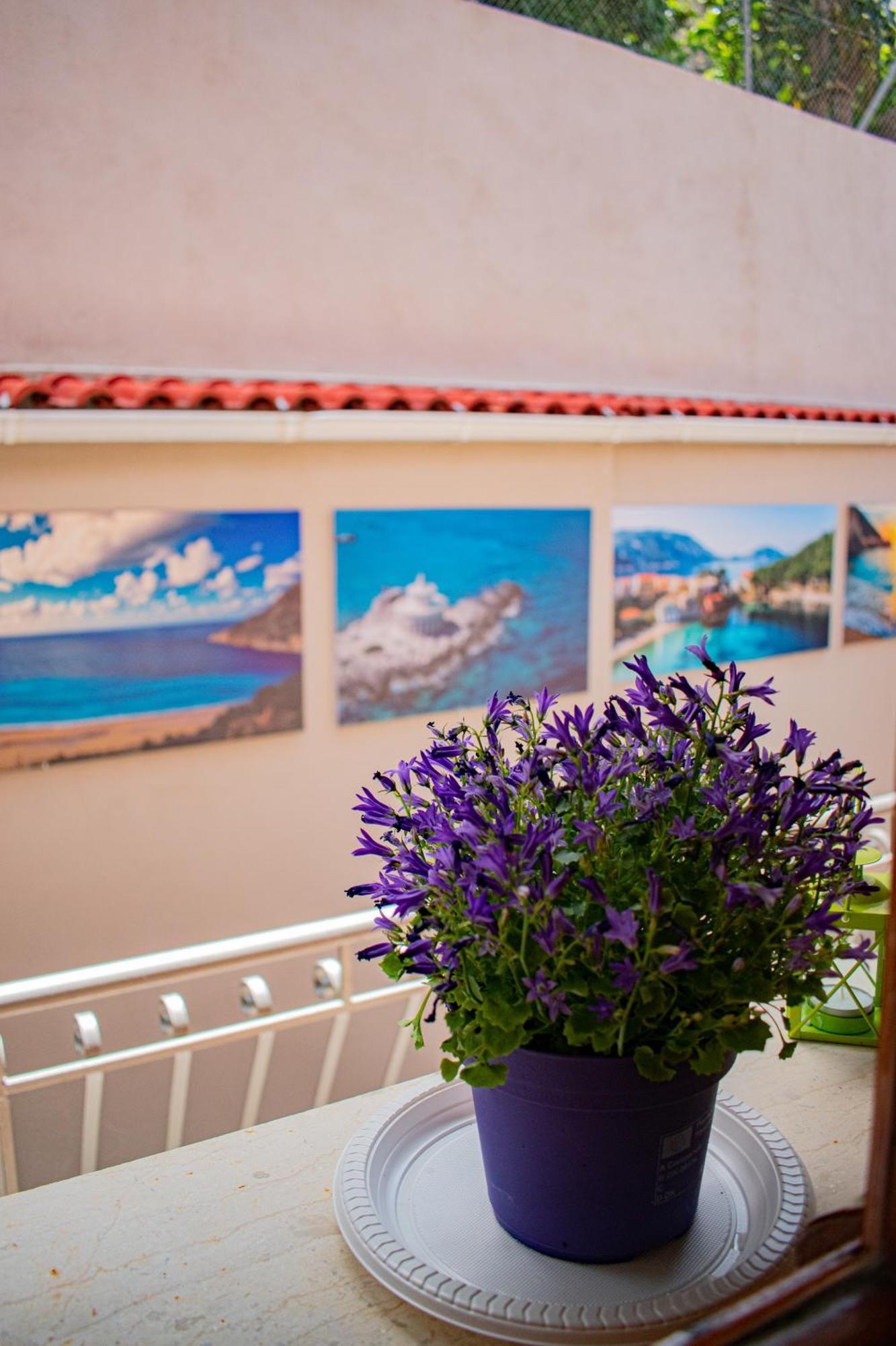 Dina Apartment Argostoli (Kefalonia)